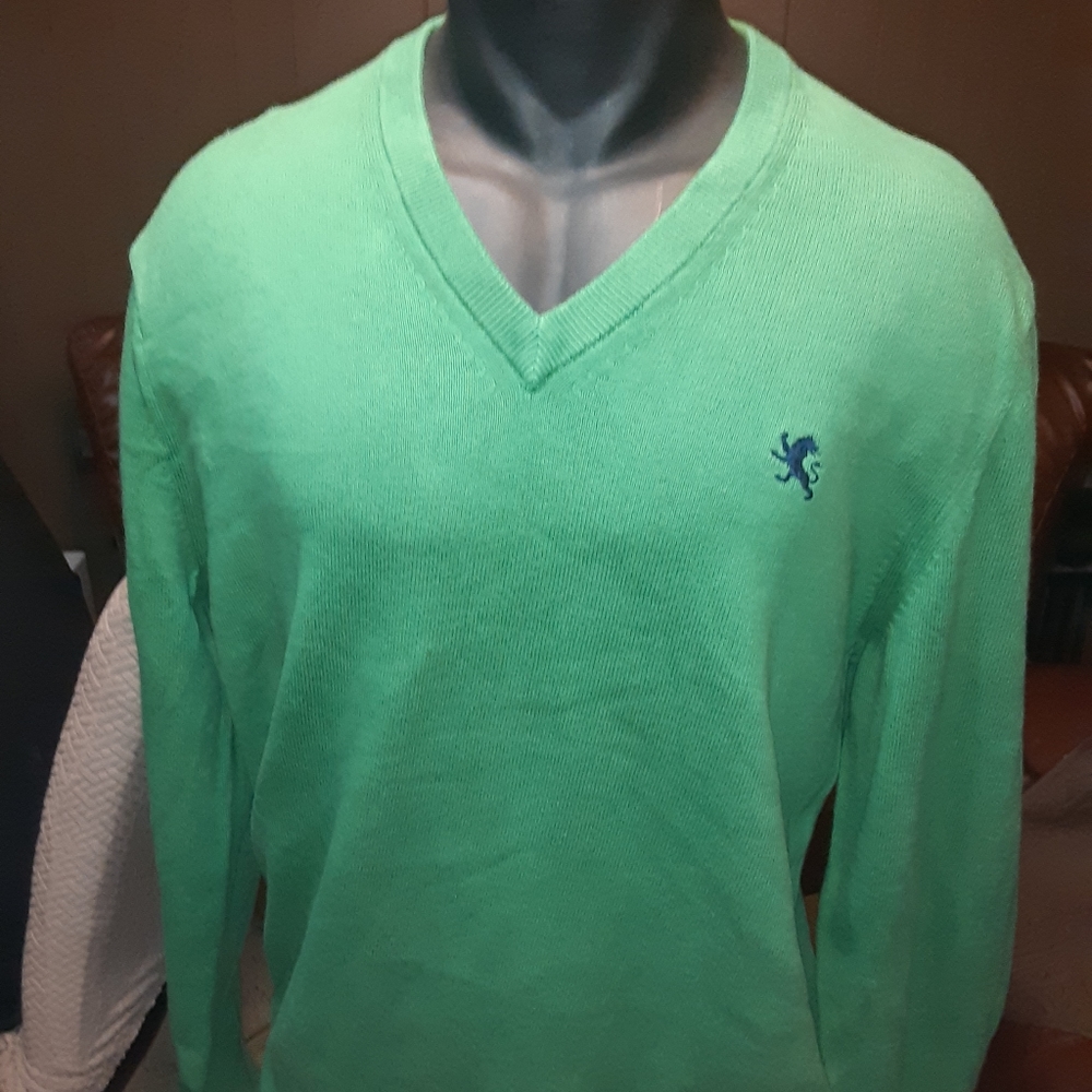 EXPRESS V-NECK SWEATER